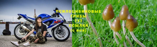 ALPHA PVP Богданович